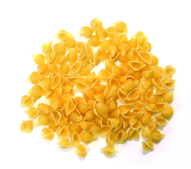 Ракушки